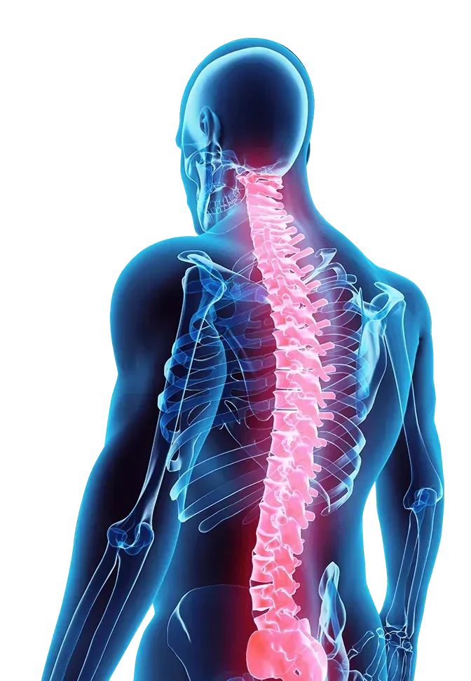 Human body pain areas
